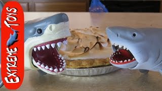 Mystery of the Shark and the Pie. What Shark Toy Ate it?