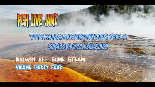 BOSS - Volume 34 - The Misadventures of  a Smooth Brain