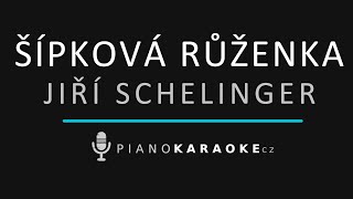 Jiří Schelinger - Šípková Růženka | Piano Karaoke Instrumental