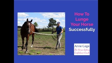 Horse Training - Lunging Part 1 - Alignment