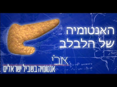 וִידֵאוֹ: היכן נמצא חלל הצפק?