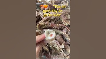 🦐🔥🍺 “Tôm tít gạch siêu ngon nhâm nhi cực đã” #datmuivlogs #shortvideo #trending #viral