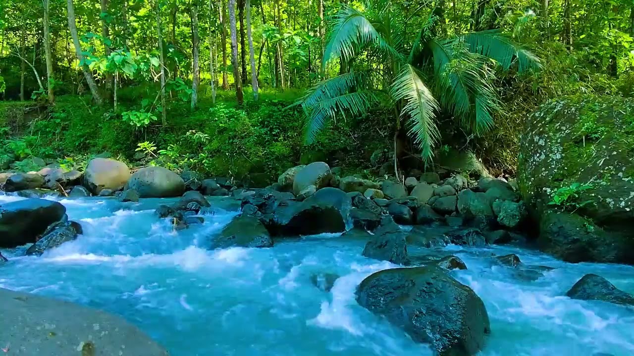 Instant Peace of Mind - River Water, Relaxing Sounds and Relieves Anxiety