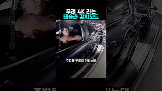 영상보는 강아지 대표 영상 썸네일