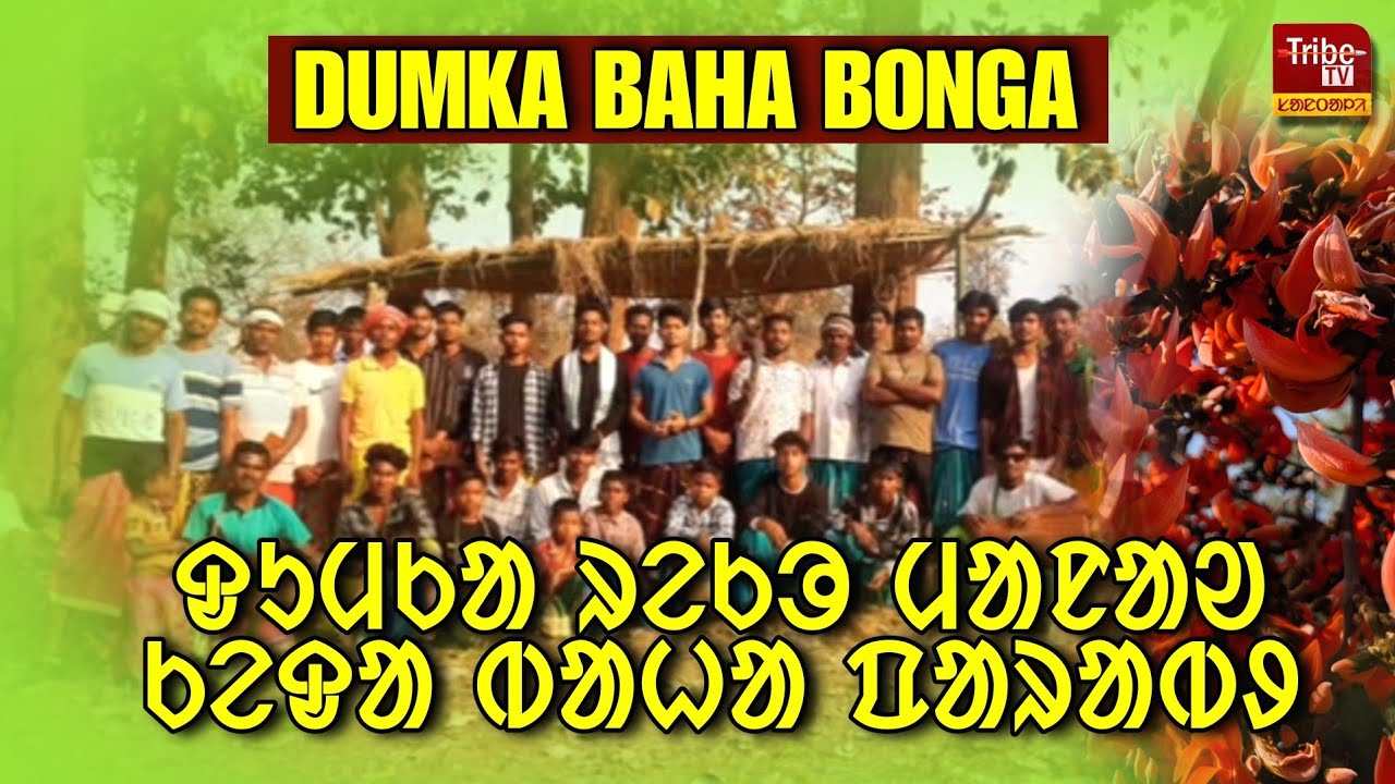 DUMKA BAHA : जामा रे मनाओ केदाको बाहा बोंगा। ᱫᱩᱢᱠᱟ ᱨᱮᱠᱳ ᱢᱟᱱᱟᱣ ᱠᱮᱫᱟ ᱵᱟᱦᱟ ᱯᱟᱨᱟᱵᱽ । Tribe Tv Santali।