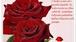 Tüm Sevenlere Gelsi̇n... Dersi̇m