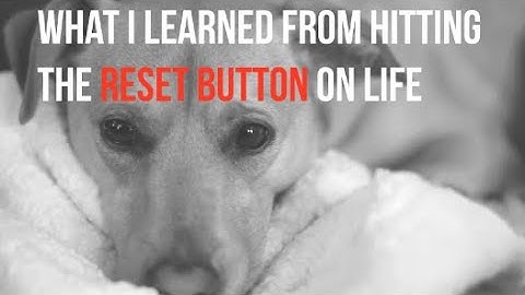 What I Learned From Hitting The Reset Button On Life-motivational video 2020