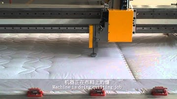 Richpeace Single Head Adjustable Height Quilting Machine