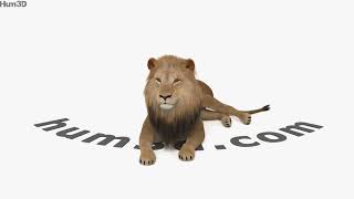 Lying Lion 3D model by 3DModels.org