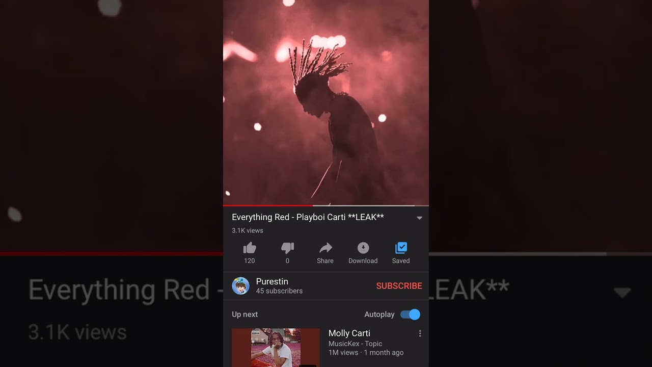 Everything Red - Carti (old leak)