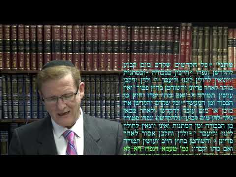 Bekhorot 14a - Youtube
