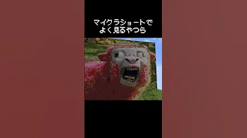 マイクラのショート動画でよく見るやつらの瞬間 