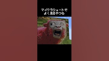 Thumbnail of マイクラのショート動画でよく見るやつらの瞬間