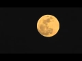 Miniature de la vidéo de la chanson Lua, Lua, Lua, Lua