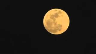 Lua Lua Lua Lua (Caetano Veloso)