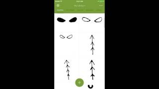 Adobe Capture Review