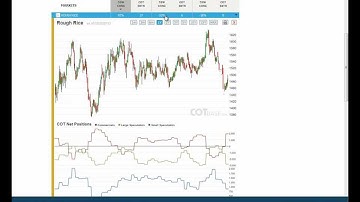 Weekly COT (Commitments of Traders) Review - Report 11/2013 - COTbase.com