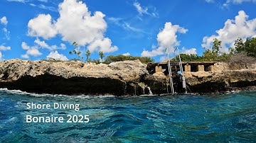 Shore Diving Bonaire 2025