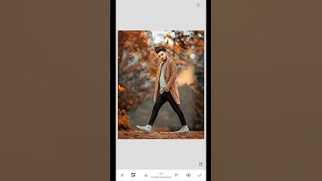 Snapseed Background Chenge Photo Editing 🍁 | Snapseed Editing | #shorts #edit