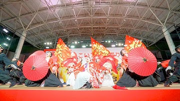 [4K] JR九州櫻燕隊【決勝演舞】　ふくこいアジア祭り 2025 日曜日