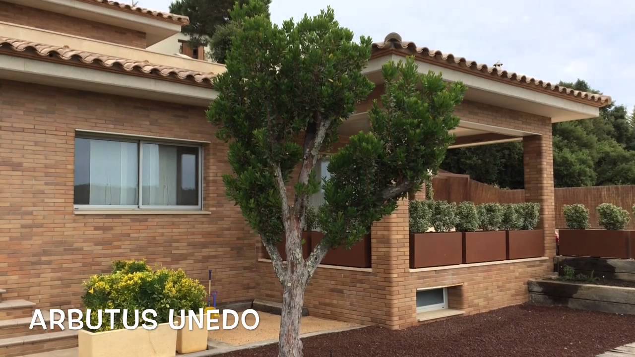 Arbutus unedo. Garden Center online Costa Brava - Girona.