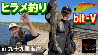 マゴチ＆ちびヒラメをGET 究極バイブの底力　アピア ビットブイ２６ｇ　千葉県九十九里浜の釣行