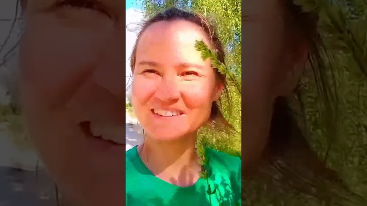 Лаванда для чая и ароматерапии.