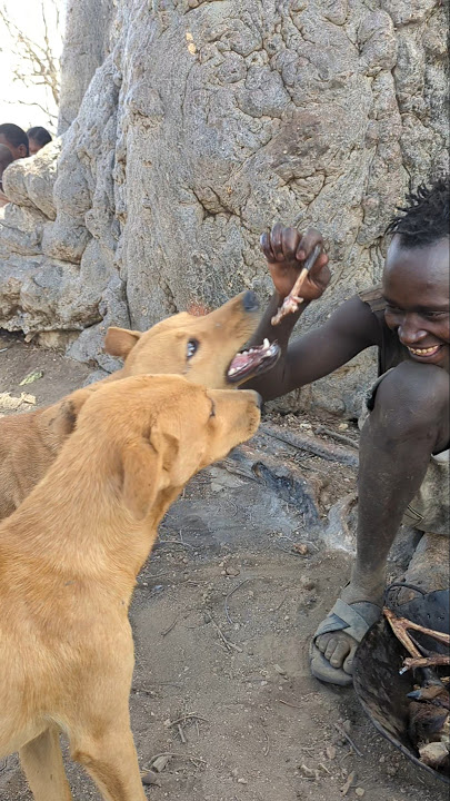 The hunter feeding his dogs