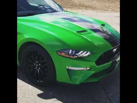 2019 "Need for Green" Ford Mustang - YouTube