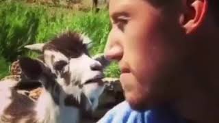 Когда споришь с девушкой / Новинки / Приколы 2018/ Ржач