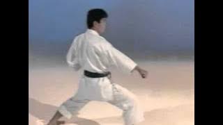 Kihon Kata - Ohta Sensei