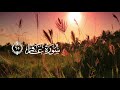 ماذا قال القرآن فضل الدعاء ماذا قال القرآن فضل الدعاء