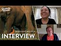 Interview - Elephant Mother - Green Screen Tour