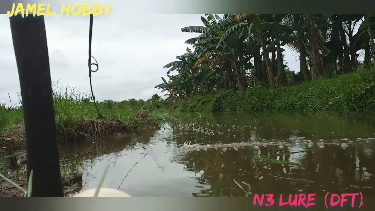 lure ampuh JET DFT (N3 LURE)