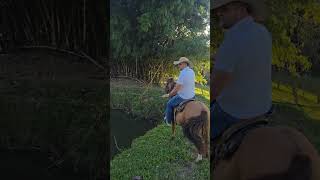 SÍTIO PANORÂMICO ALTO DA COLINA 17,7 HECTARES PRÓXIMO AO SANTUÁRIO R$ 4,4 MILHÕES - Código: 2625