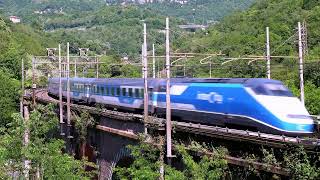 Trenitalia Intercity with E414 locomotives on the Pile di Mignanego viaduct