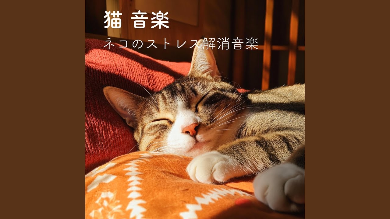 Tonton 猫の昼下がり di YouTube