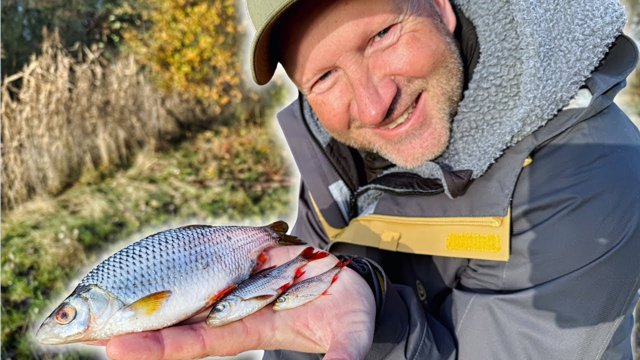 Mit der Feederrute auf Köderfischfang