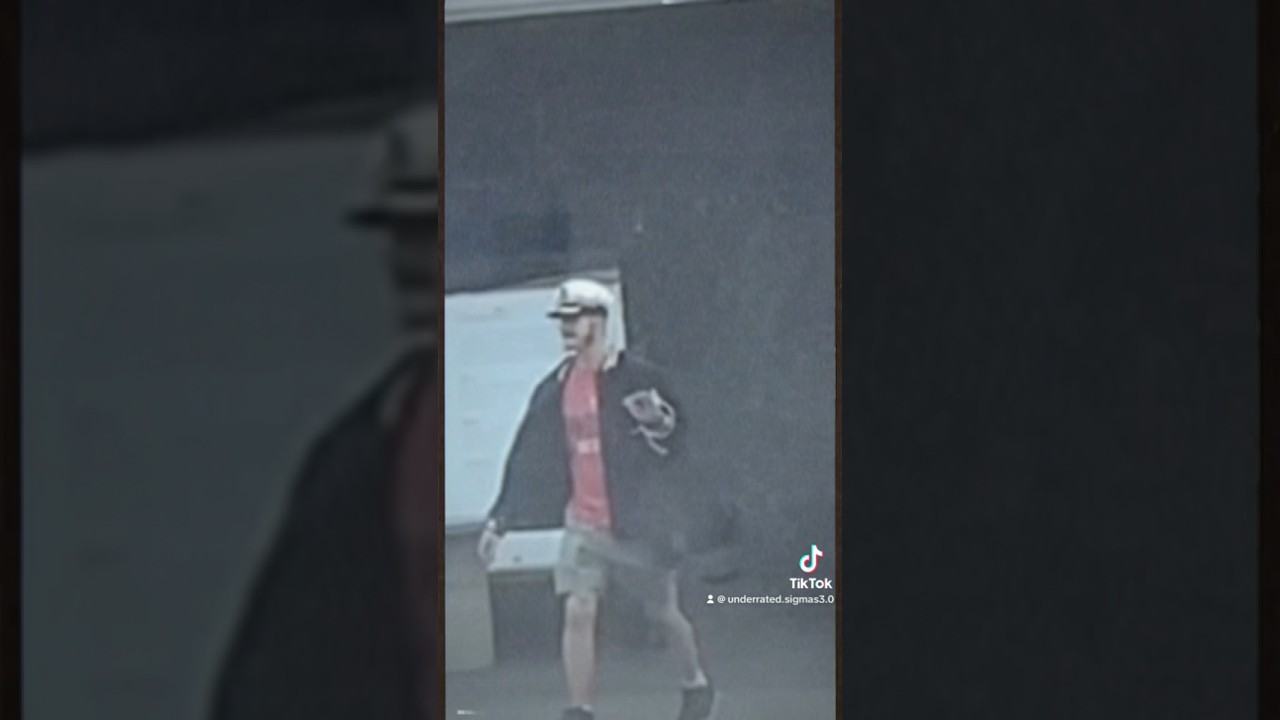 A WILD JUSH HAS BEEN SEEN 