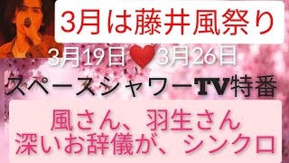 藤井 tv スペース 風 シャワー [TV