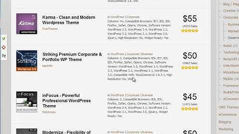 Wordpress themes. part 13