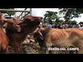 Tercer sábado de Tiangue en San Rafael cedros, Cuscatlán. Hoy estuvo lleno 1/2