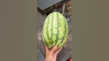 Experiment: Will a watermelon explode if it rolls off a tall building? 🍉💥#shorts