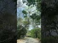 Comment down the location👇 #trending #viralvideo #viral #youtubeshorts