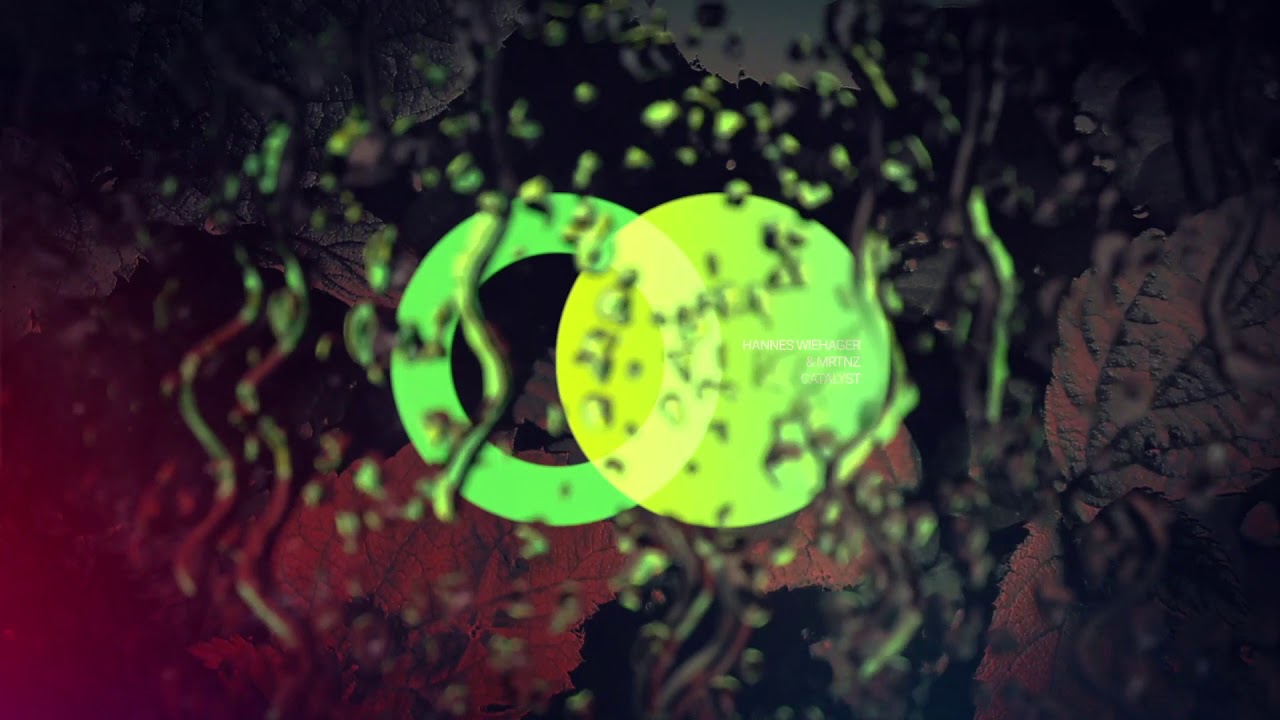 Hannes Wiehager & MRTNZ - Song 4 (Original Mix) // AVE009