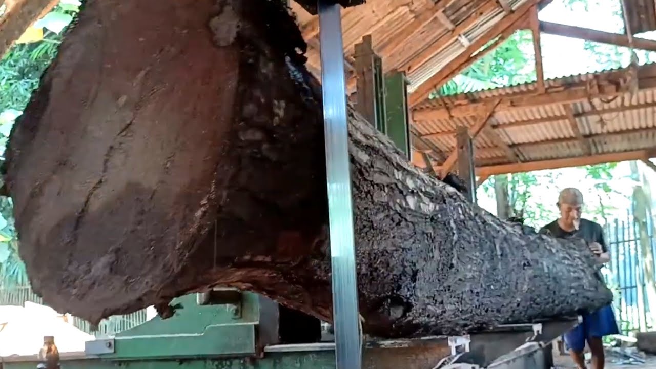 Long, Uniquely Shaped Wood in the Sawmill - YouTube
