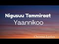 Nigusuu Tammiraat Yaannikoo Sibira Oromo Music Lyrics Nigusuu Tamirat Yannikoo Lyrics Video 
