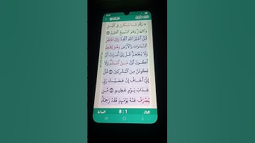 سورة الأنعام الآية 14-17 سعد الغامدي