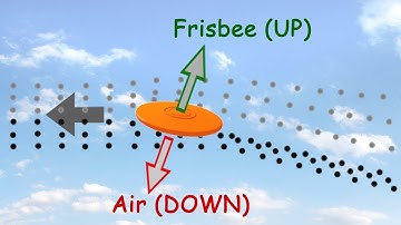 How frisbees fly explained by Newtonian physics.