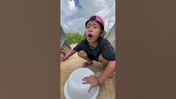 Tạp Hóa Tippi T35 | Đôi Bạn Thân Và Con Chim Quý - Tippi Vips #tippi tv